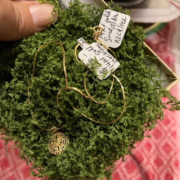 Beautiful, Solid 14 kt yellow gold sand dollar pendant - Picture 5 of 8